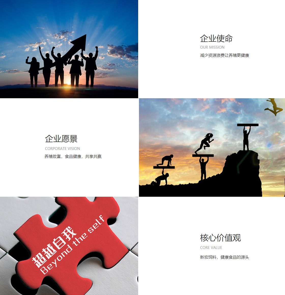 OB体育最新官网入口(图1)